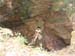 17_main-african-dancer---mysti